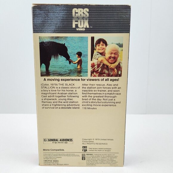 Lot Of (2) Vintage VHS Tapes Cassette Black Stallion Officer & Gentleman USED - Picture 6 of 8